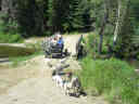 dog cart ride down the slope